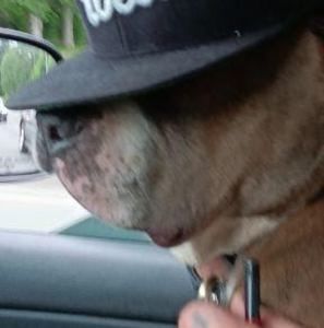 Meet your Posher, Scott